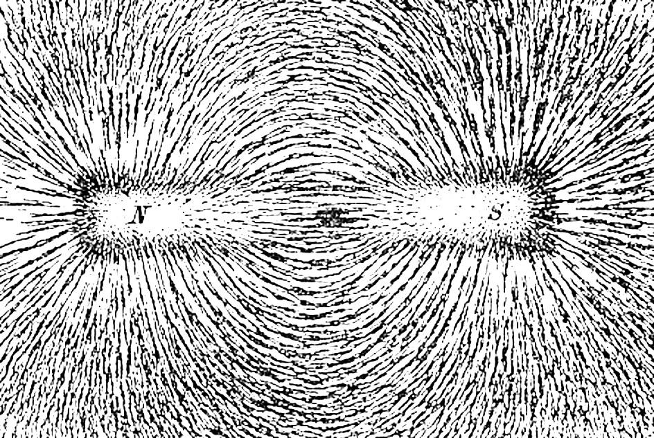 На рисунке показана полученная при помощи железных опилок картина линий магнитного поля