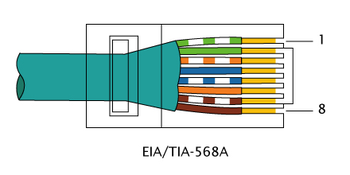 RJ-45 TIA-568A Right.png