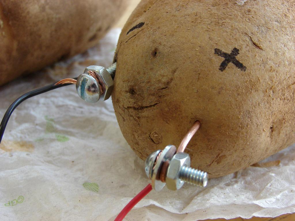 батарея из картошки