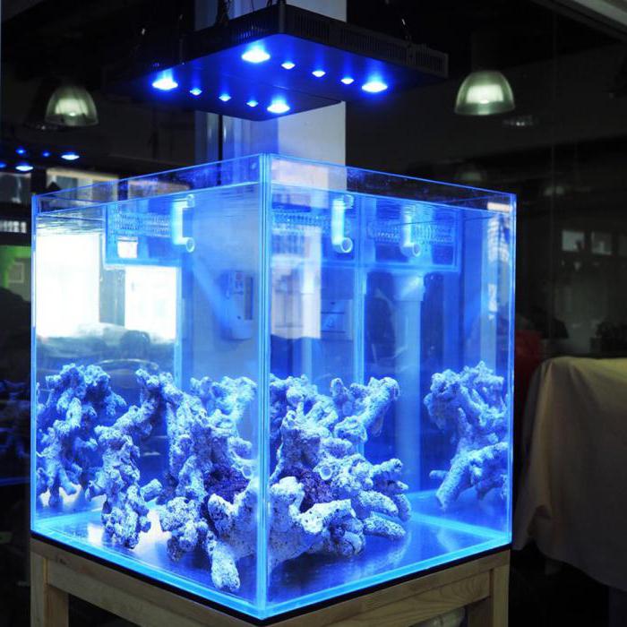 освещение аквариума светодиодными прожекторами