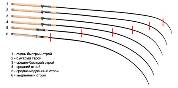 Строй фидерного удилища