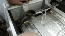 Не работает духовка Не работает духовка