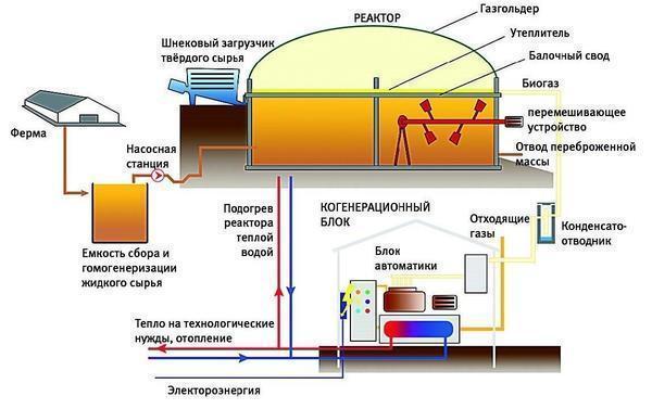 Многие фермерские хозяйства охотно используют биогазовую установку, поскольку она существенно экономит расходы на электроэнергию и газ