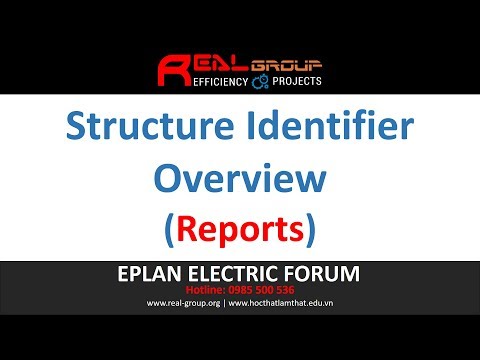 Structure Identifier Overview (Reports) 