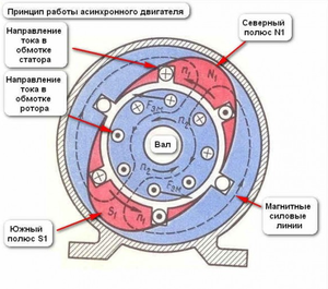 Строение ротора асинхронного двигателя