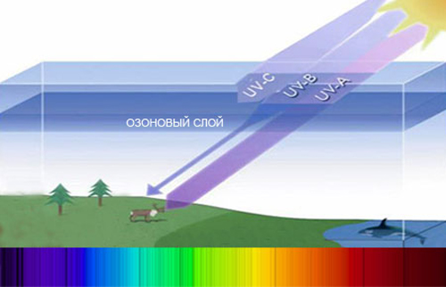 ультрафиолет в природе