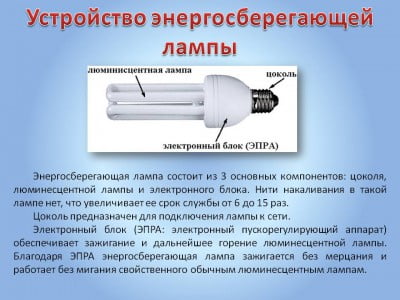 Фото: Устройство энергосберегающей лампы