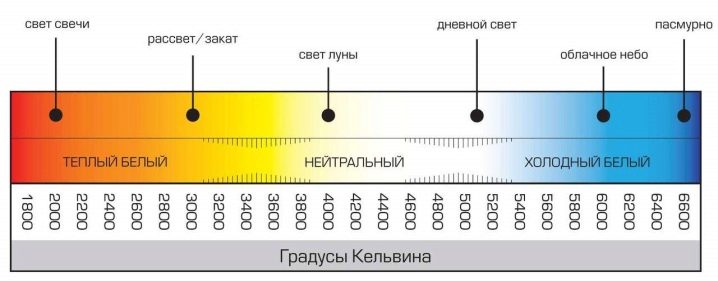 Лампы для растений: разновидности и советы по выбору