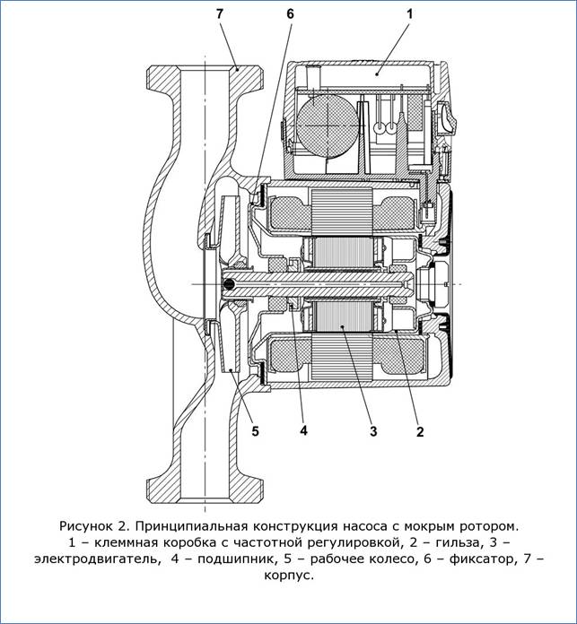 Схема насоса с мокрым ротором в разрезе