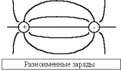 Силовые линии (линии напряженности) 