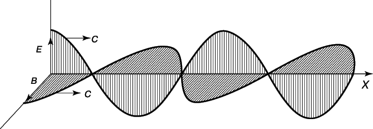 Рис. 2. ЭЛЕКТРИЧЕСКОЕ И МАГНИТНОЕ ПОЛЯ в момент t = 0 для случая плоской электромагнитной волны, распространяющейся в направлении x со скоростью c.